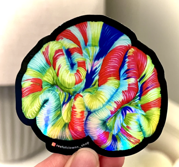 Trachyphyllia Coral Sticker by Reef of Clowns