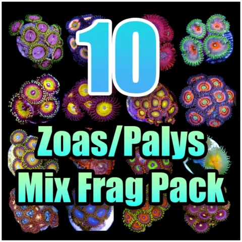10 ASSORTED Zoas and Palys MIX FRAG PACK