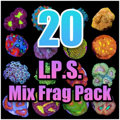 20 Assorted LPS Mix Frag Pack