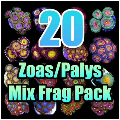20 ASSORTED Zoas and Palys MIX FRAG PACK