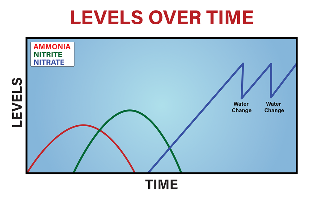 LevelsOverTime