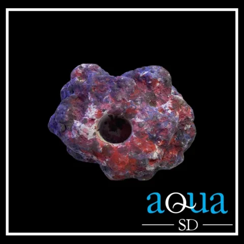 EcoRock Frag Plug Holders