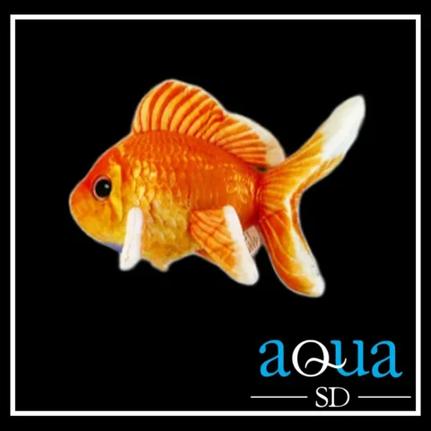 Stuffed Goldfish Plush