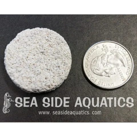 1.25" Cement Frag Disc Packs