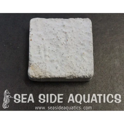 1.5" Cement Frag Square Packs
