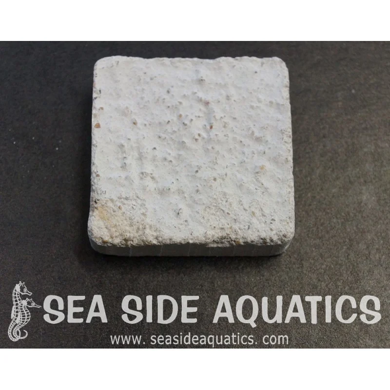 1.5" Cement Frag Square Packs