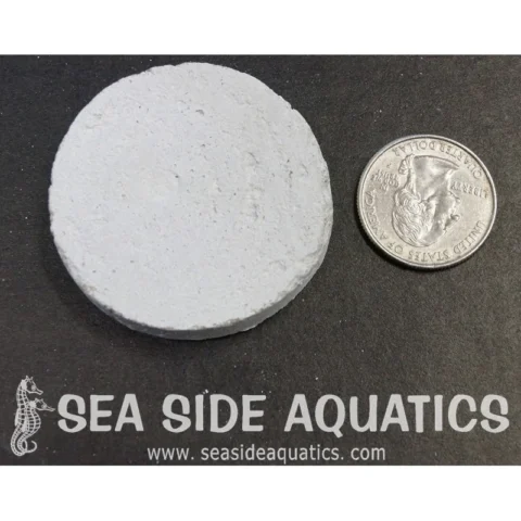 1.75" Cement Frag Disc