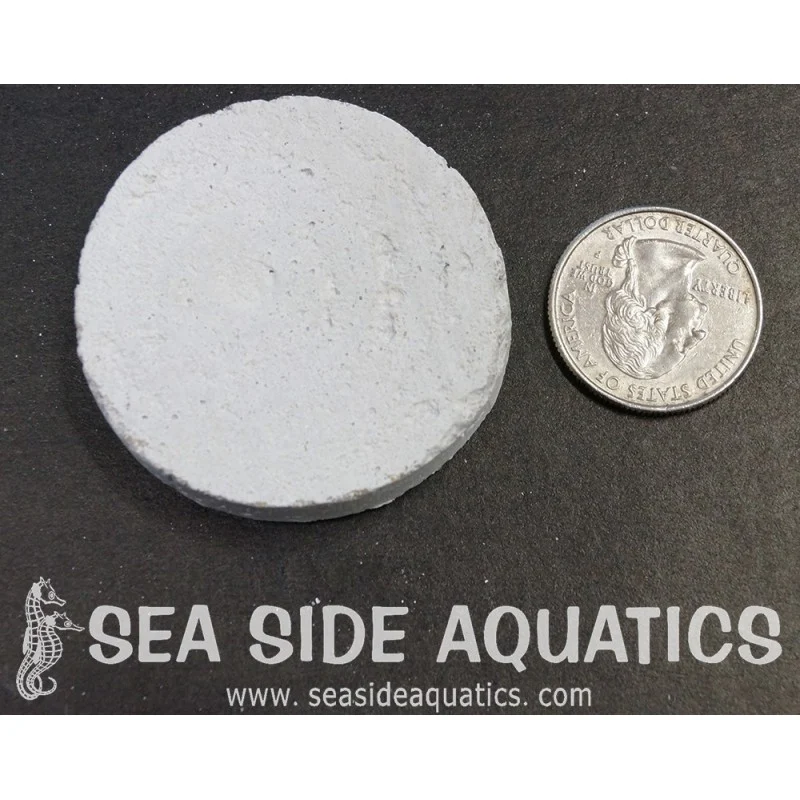 1.75" Cement Frag Disc