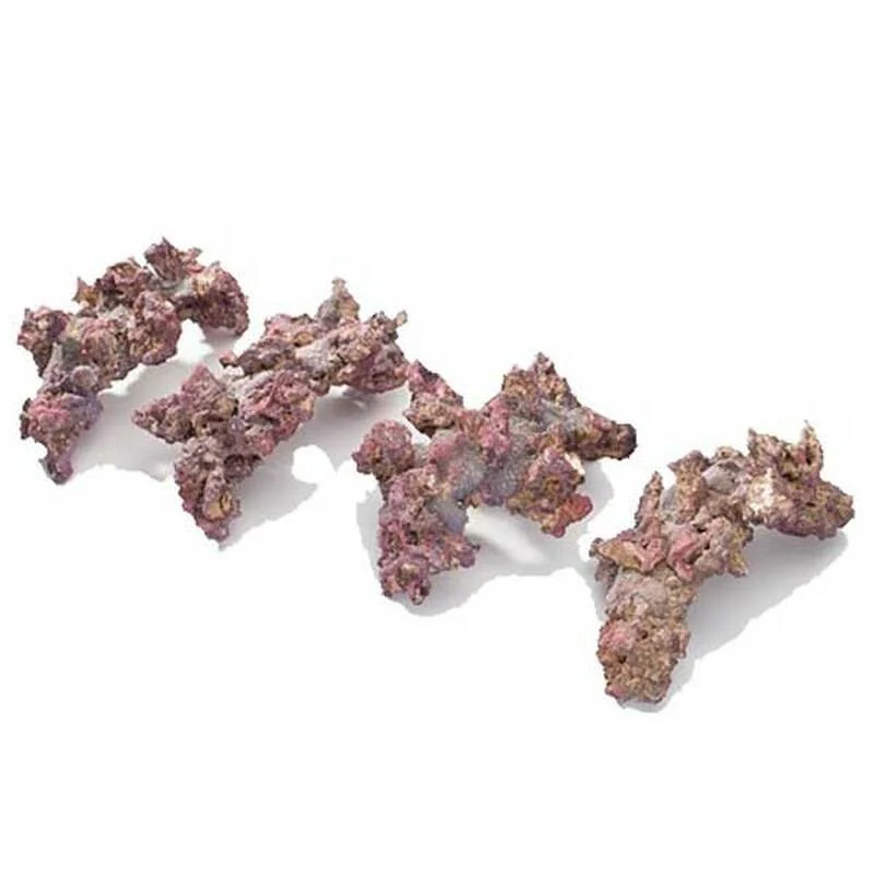 4pcs Arches Life Rock Dry Live Rock - CaribSea