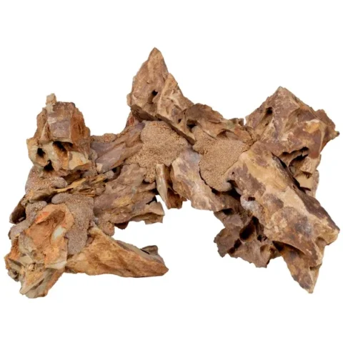 Caribsea Dragon Arches 12 inch 4pk (12329)