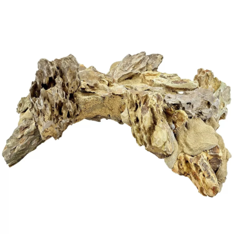 Caribsea Dragon Arches 18 inch 1pk (18329)