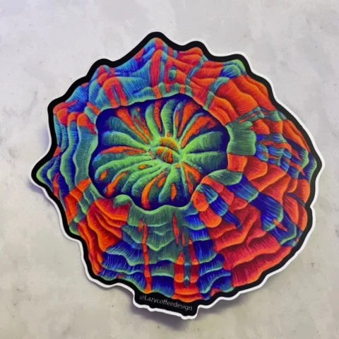 Acantho Sticker