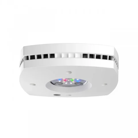 AI Prime 16HD Reef Aquarium LED, White