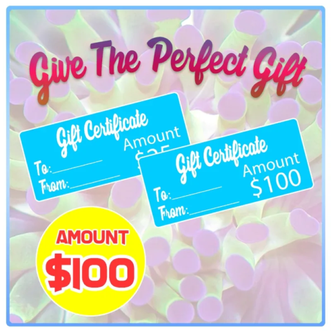 Aqua SD Gift Certificate ($100)
