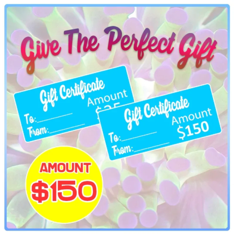 Aqua SD Gift Certificate ($150)