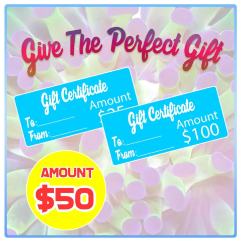 Aqua SD Gift Certificate ($50)