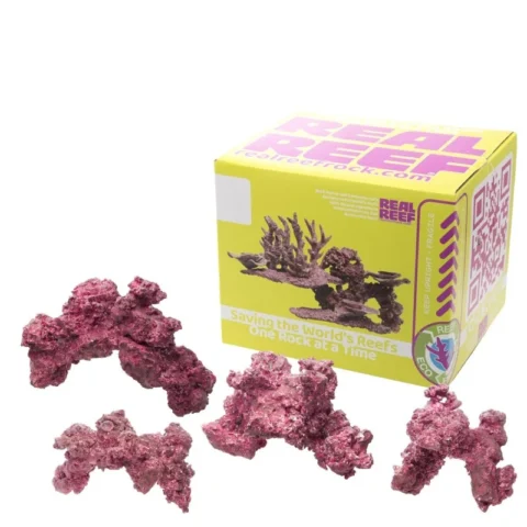 Arches Rock - Real Reef