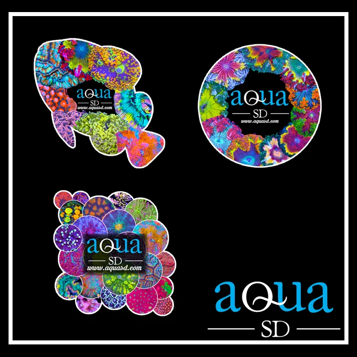 Assorted Aqua SD Sticker
