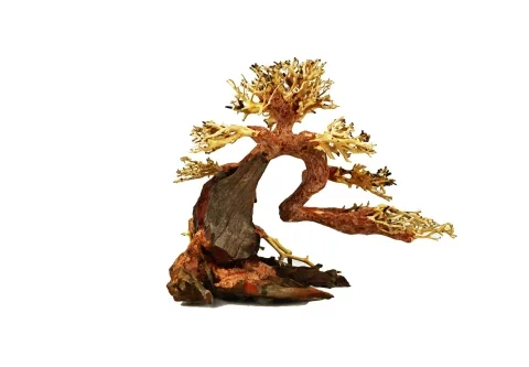 Bonsai Wood Md/Lg 35x25x18cm (Per Piece)