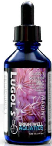 Brightwell Aquatics Lugol's Solution - Advanced Iodine 30ml (LUG30)