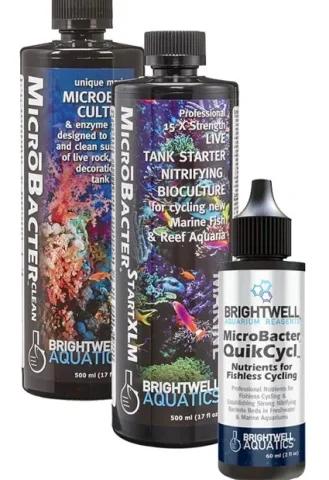 Brightwell Aquatics MicroBacter Dry Rock Bacteria Starter Kit (DRSK100)