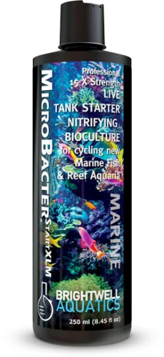 Brightwell Aquatics MicroBacterSTARTXLM 250ml (BACSTARTXLM250) - Nitrifying Bioculture