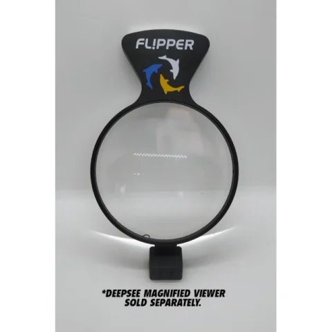 DeepSee Viewer SpotLight - Flipper