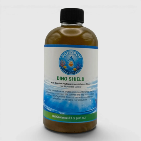Dino Recovery Bundle Phytoplankton Culture & Copepods