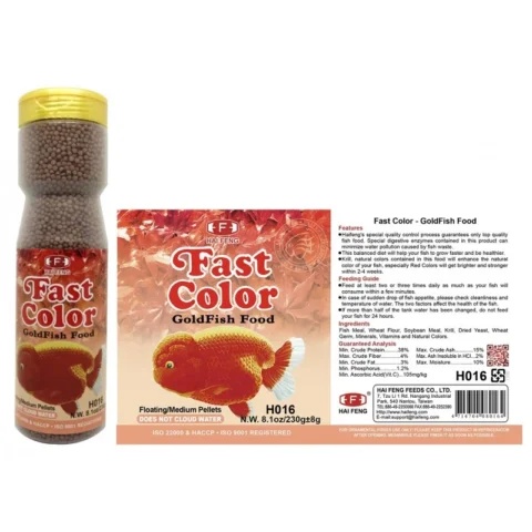 Fast Color Goldfish 260g - Hai Feng