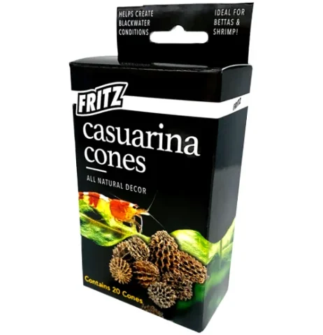 Fritz Casuarina Cones 20PK (11120)