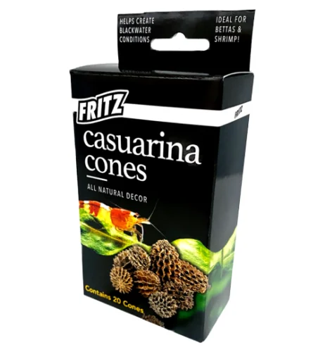 Fritz Casuarina Cones 20PK (11120)