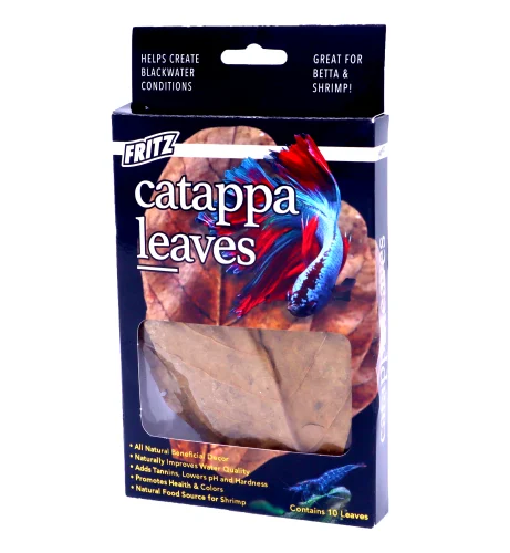 Fritz Catappa Leaves 10PK (11114)