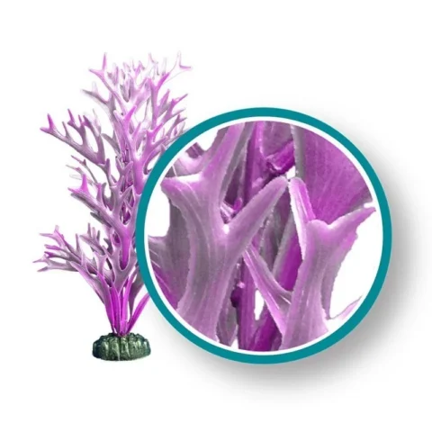 Giant Kelp - Weco Plant