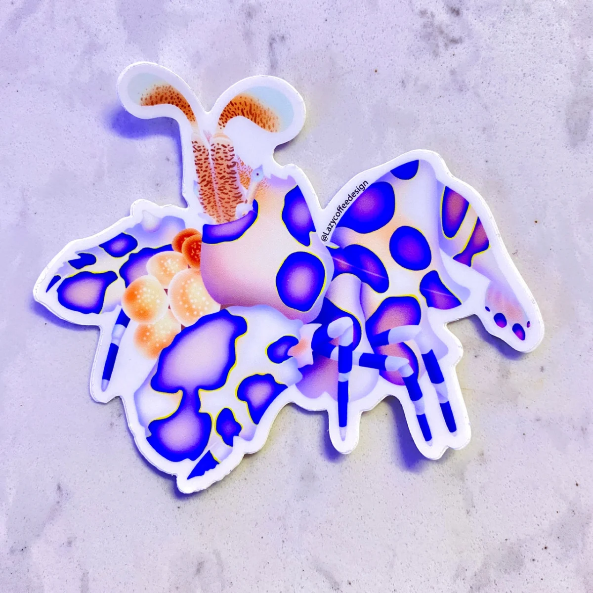 Harlequin Shrimp Sticker