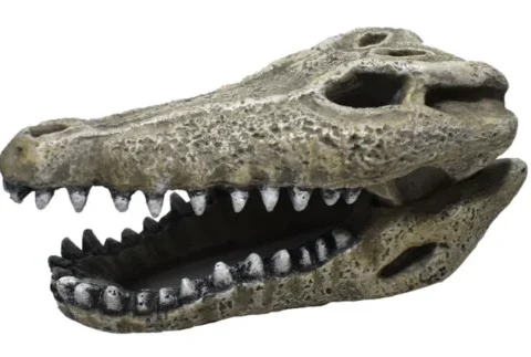 Hikari AS Resin Gator Skull 2" (96160)