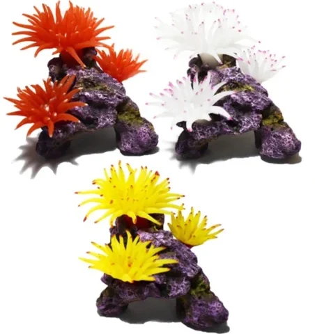 Hikari Bubbletip on Rock (96202)