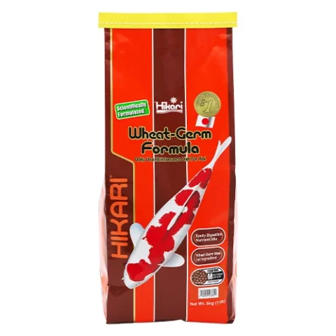 Hikari Koi Wheat Germ Medium 33lb (06391)