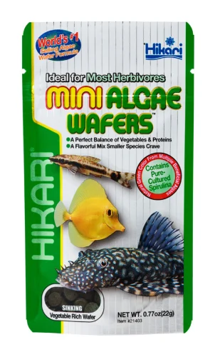 Hikari Mini Algae Wafers 0.77oz (21403)