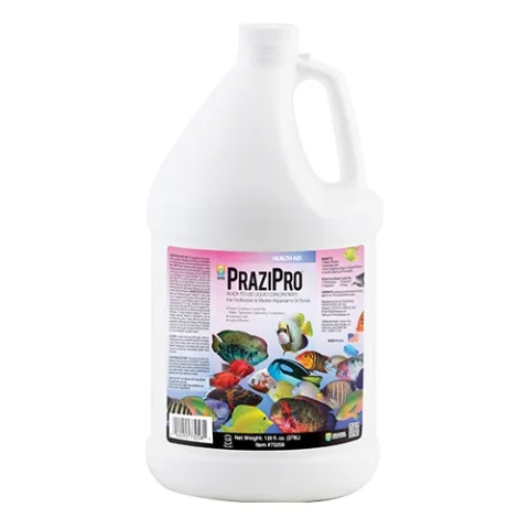 Hikari Prazipro Parasite Terament 1gal (73258)