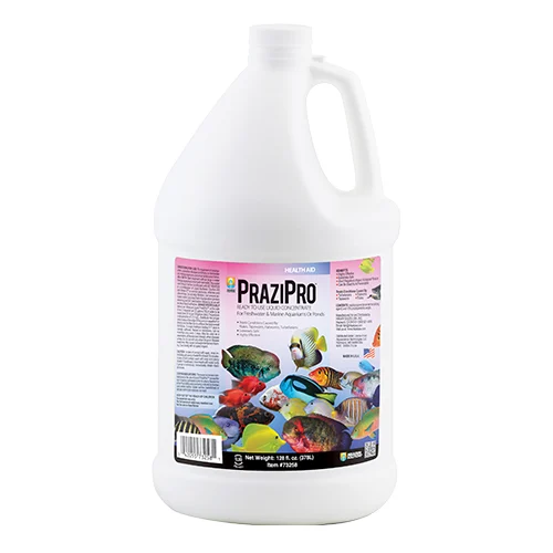 Hikari Prazipro Parasite Terament 1gal (73258)