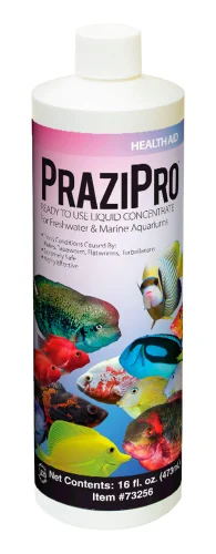 Hikari Prazipro Parasite Treatment 16oz (73256)