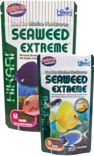 Hikari Seaweed Extreme Medium 3.16oz (25321)