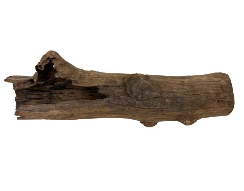 Hollow Wood (Per Lbs)
