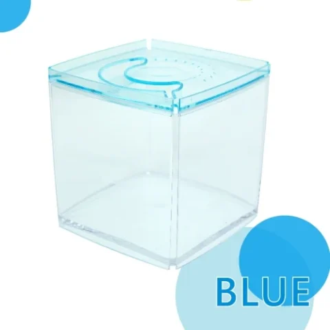 ISTA Stylish Display Case - Square Tank Blue