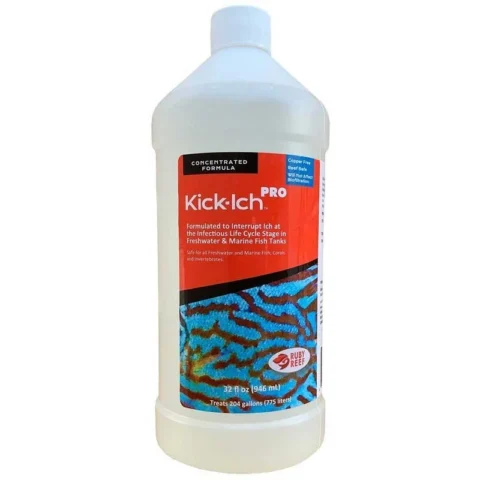 Kick Ich Pro Cylinder bottle - Ruby Reef
