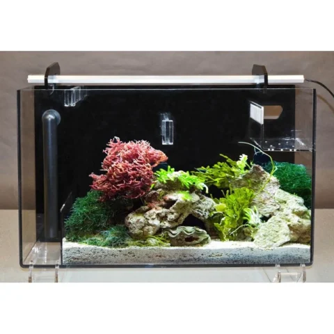 Large AquaFuge 2 Hang On Refugiums (AF2LGDXG)