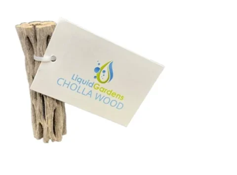 Liquid Gardens Cholla Wood 3" (LG-003)