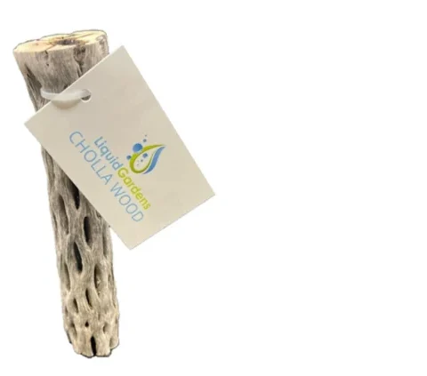 Liquid Gardens Cholla Wood 6" (LG-004)