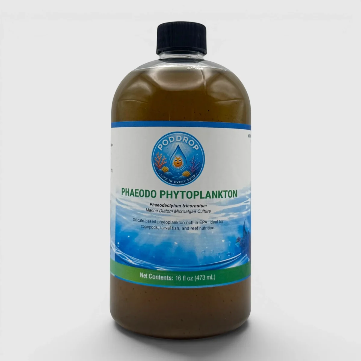 Phaeodactylum tricornutum Phytoplankton Culture - UTEX LB 642