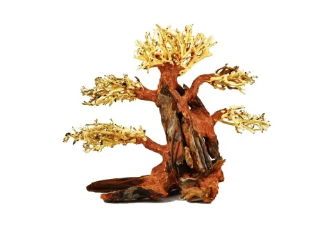 Pine Bonsai Wood Large 40x30x15cm (Per Piece)